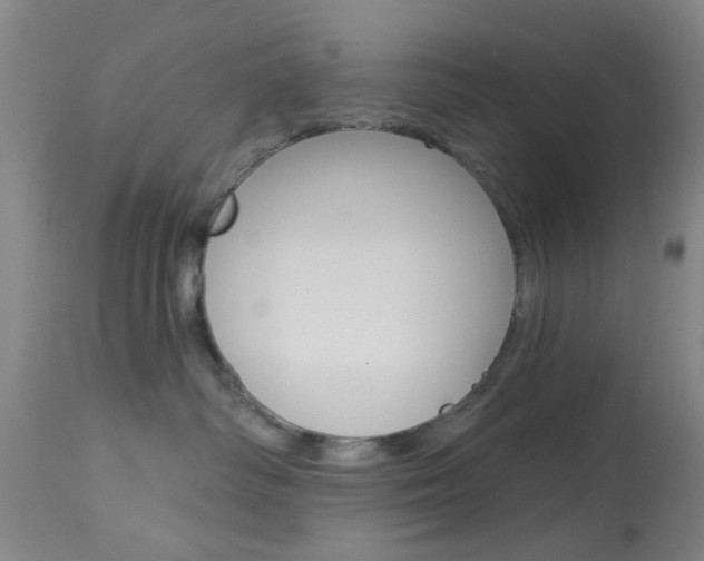 X0000114020334200910021022
