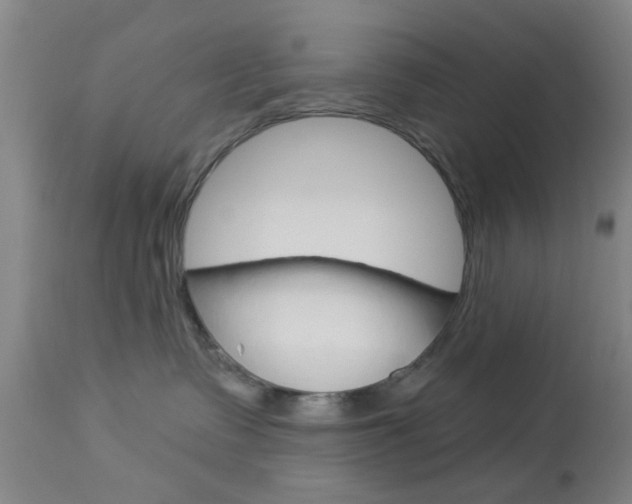 X0000114020335200910021022