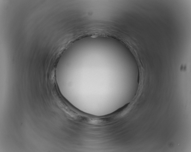 X0000114020336200910021022