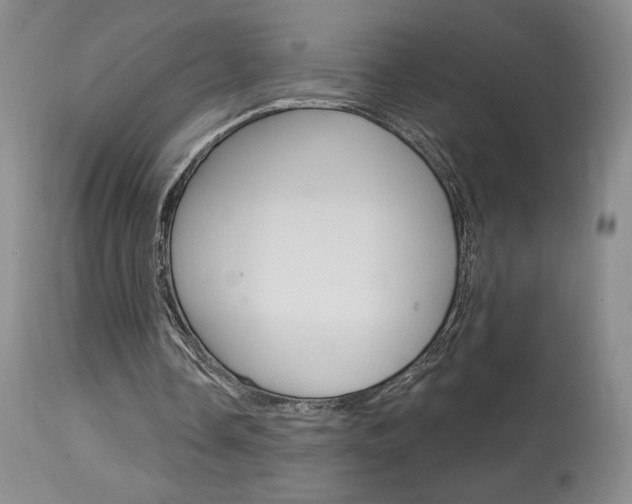 X0000114020338200910021021