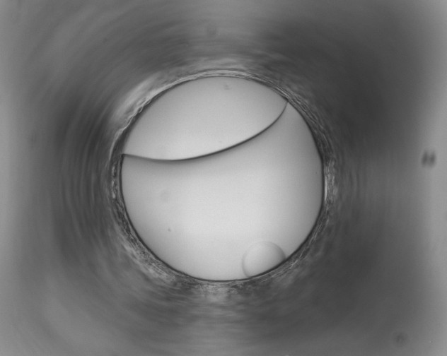 X0000114020339200910021021