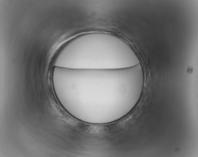 X0000114020343200910021021