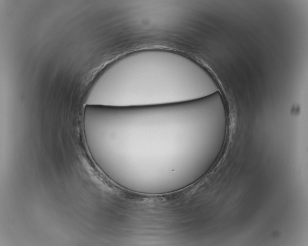 X0000114020345200910021021
