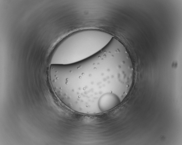 X0000114020346200910021021