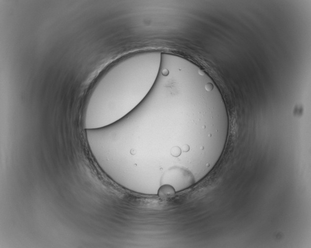 X0000114020347200910021021