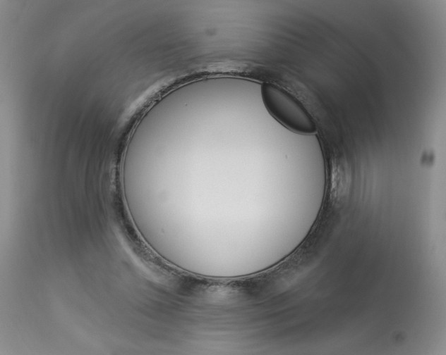 X0000114020348200910021021