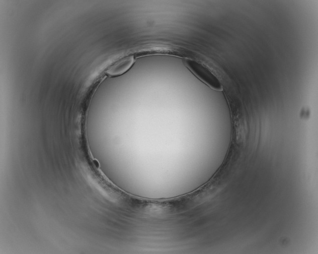 X0000114020350200910021021