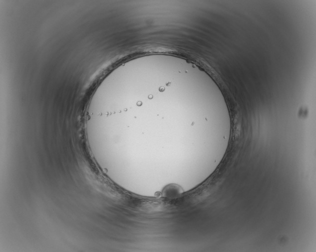 X0000114020351200910021021