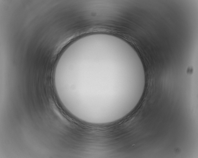 X0000114020352200910021021