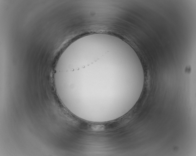 X0000114020355200910021021