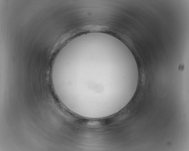 X0000114020357200910021021
