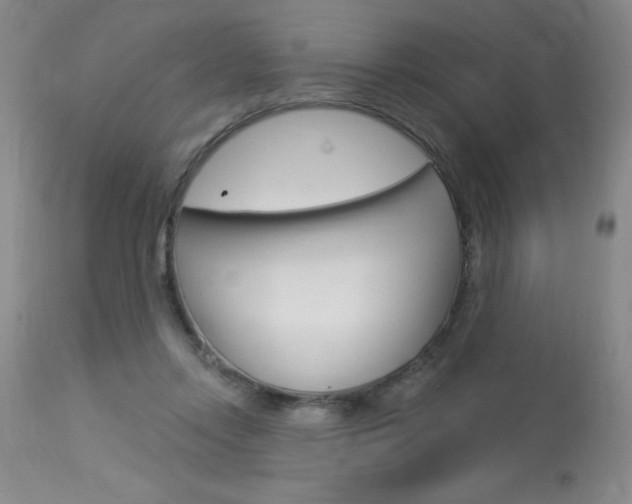 X0000114020358200910021021