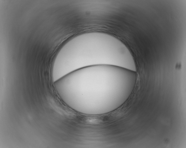 X0000114020360200910021021