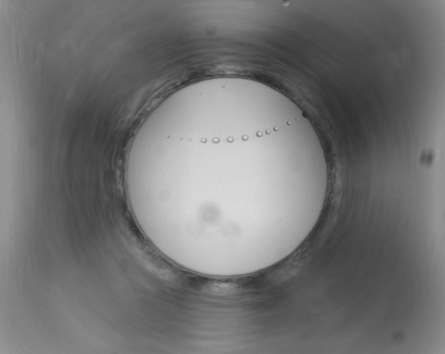 X0000114020361200910021021