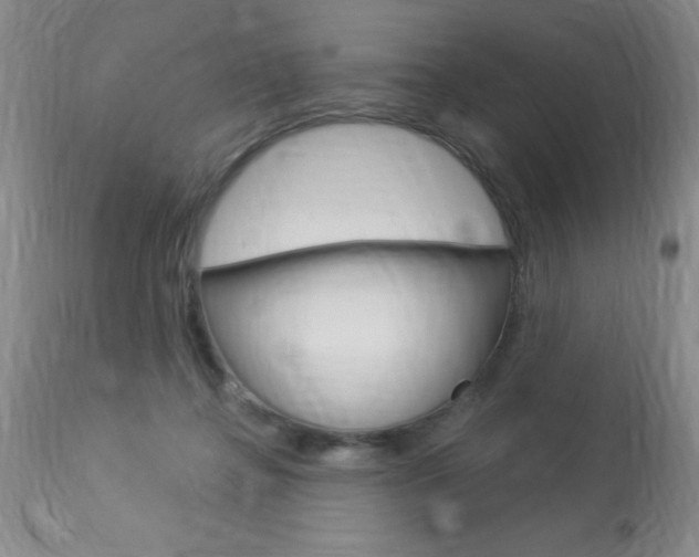 X0000114020364200910021021