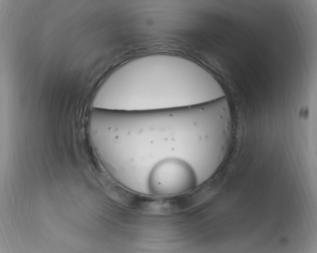 X0000114020366200910021021