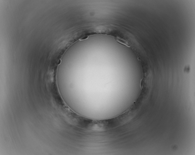 X0000114020368200910021021