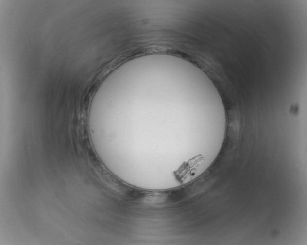 X0000114020369200910021021