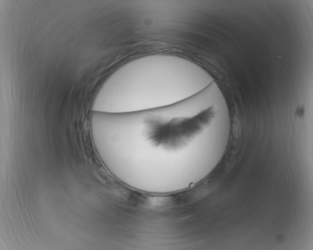 X0000114020371200910021021