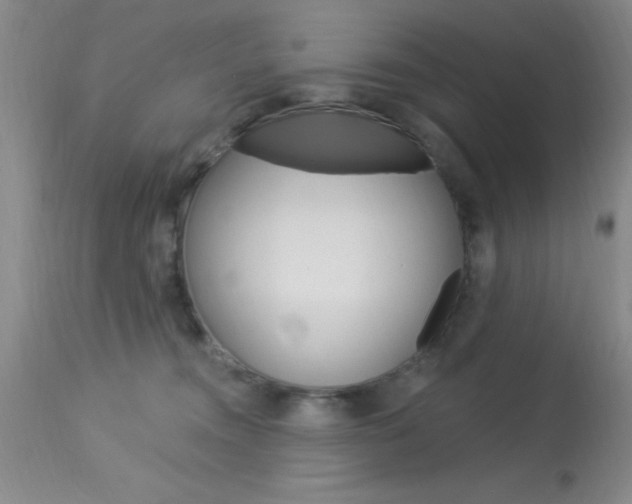 X0000114020372200910021021