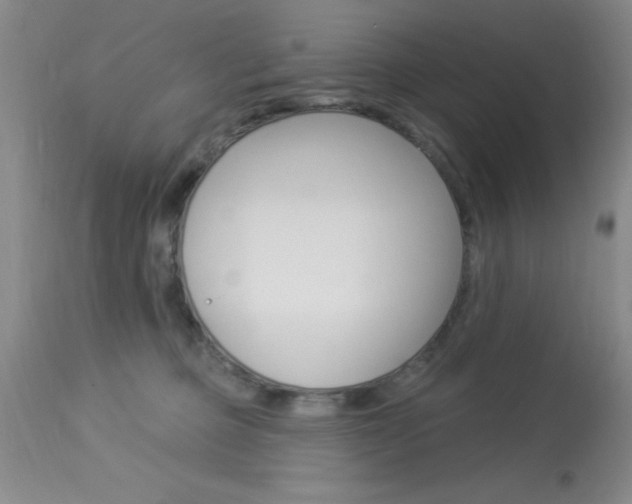 X0000114020373200910021022