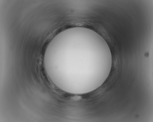 X0000114020374200910021022