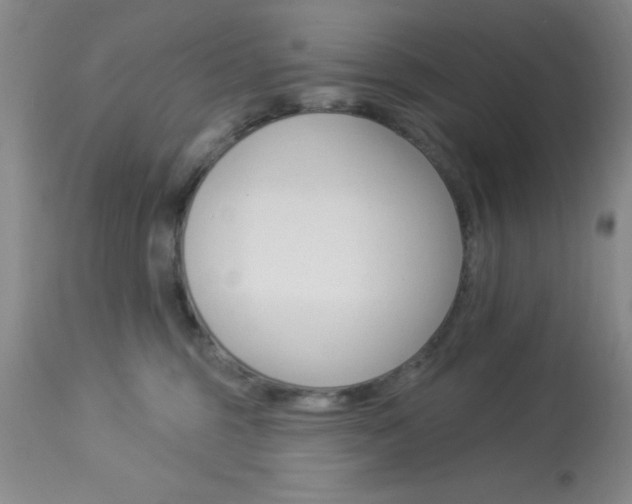 X0000114020375200910021022