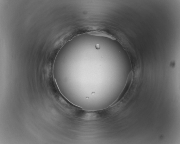 X0000114020376200910021022