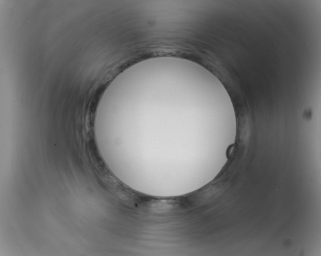 X0000114020378200910021022