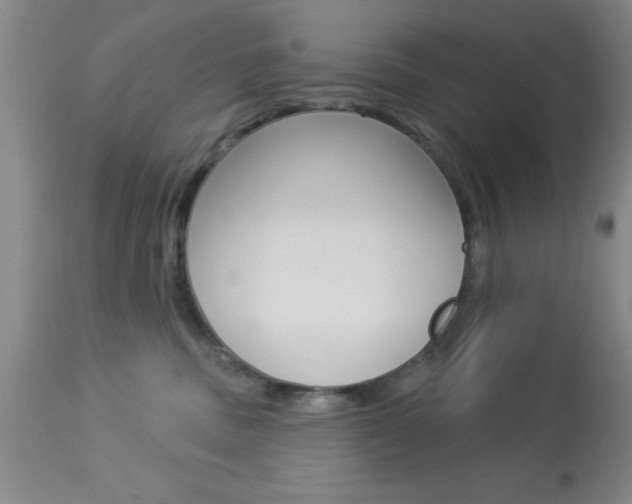 X0000114020379200910021022