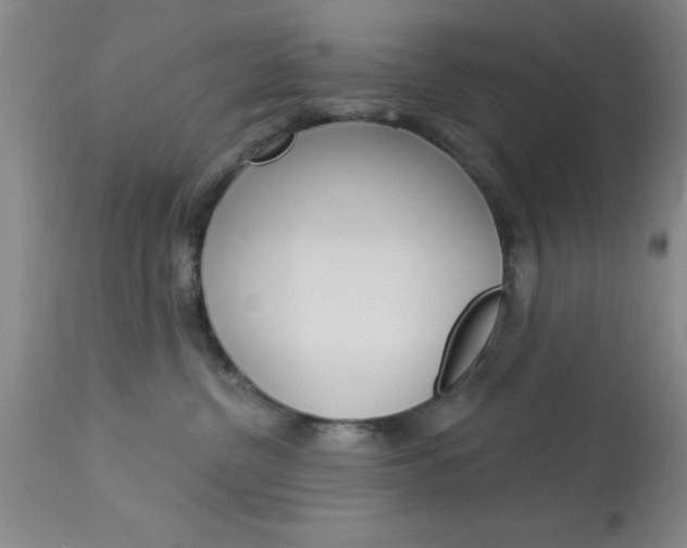 X0000114020380200910021022