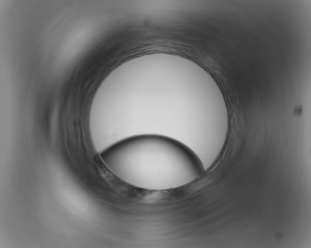 X0000114020382200910021022