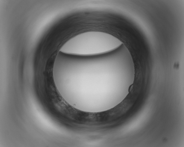 X0000114020383200910021022