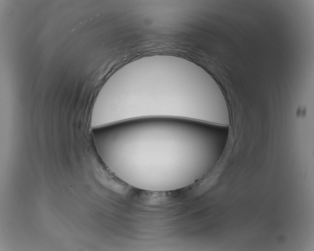 X0000114020384200910021022