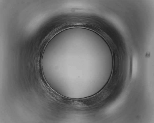 X0000114020387200910021021
