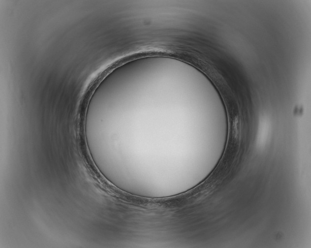X0000114020388200910021021