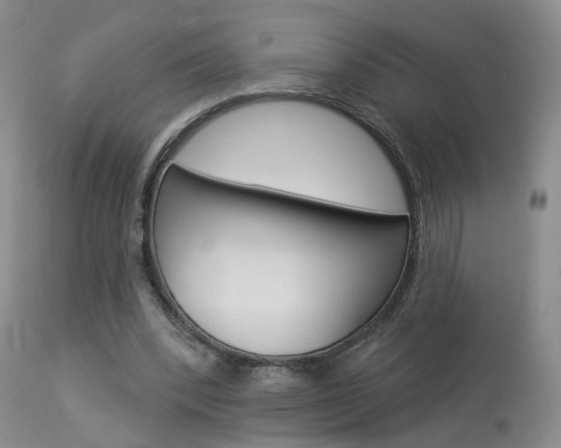 X0000114020392200910021021