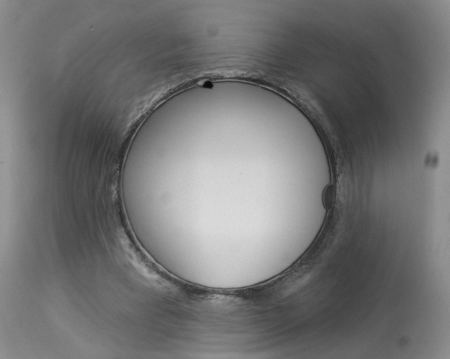 X0000114020393200910021021