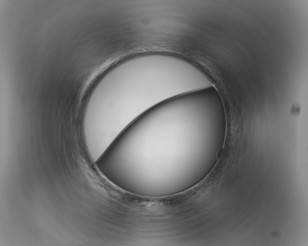 X0000114020395200910021021