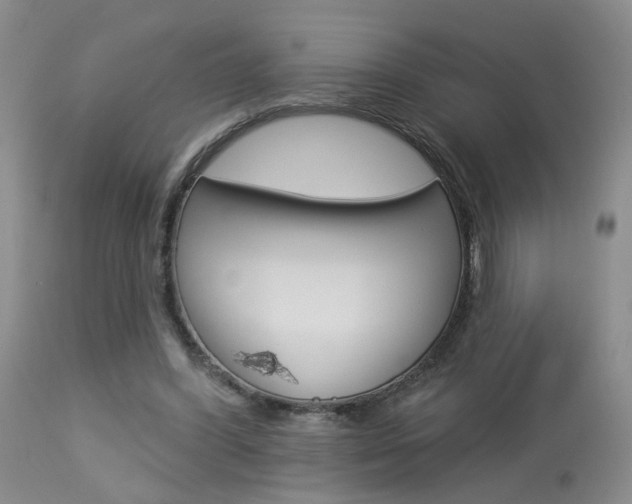 X0000114020396200910021021