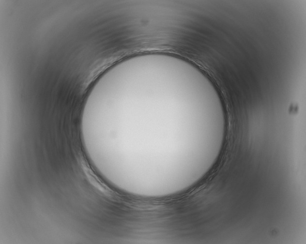 X0000114020397200910021021