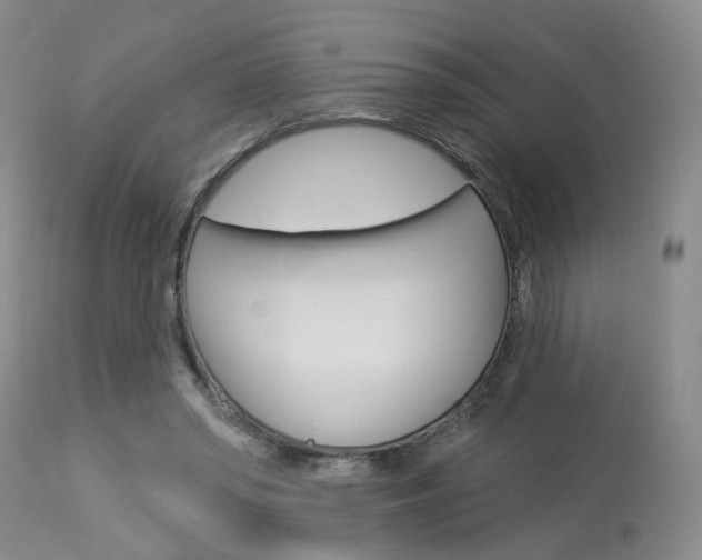 X0000114020398200910021021