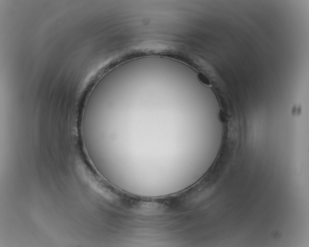 X0000114020399200910021021