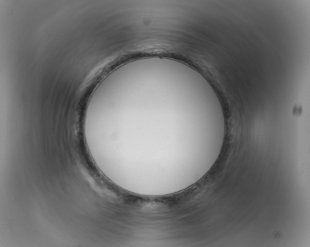 X0000114020400200910021021
