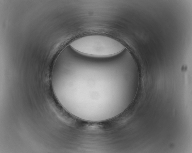 X0000114020407200910021021