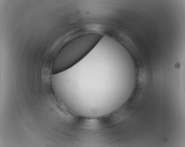 X0000114020409200910021021