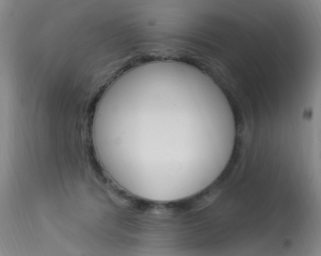 X0000114020416200910021020