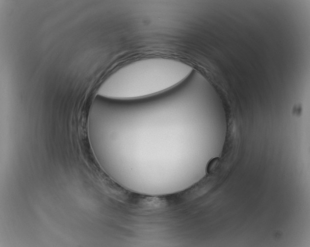 X0000114020421200910021020