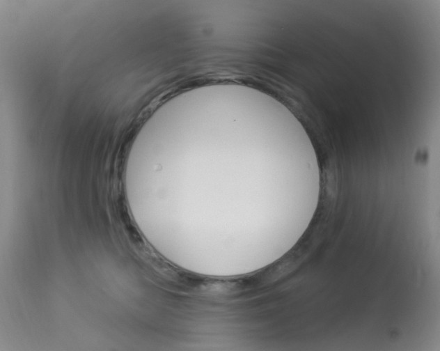X0000114020422200910021020