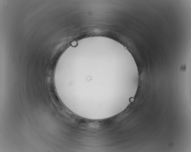X0000114020423200910021020